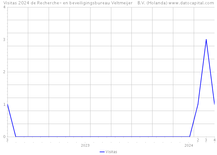 Visitas 2024 de Recherche- en beveiligingsbureau Veltmeijer B.V. (Holanda) 