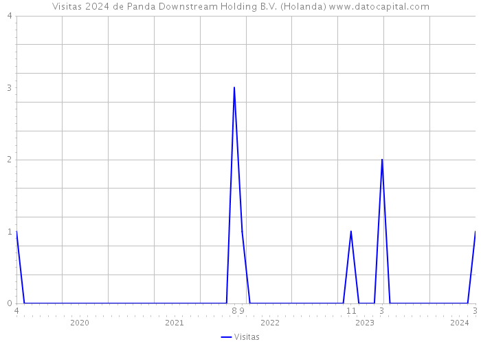 Visitas 2024 de Panda Downstream Holding B.V. (Holanda) 