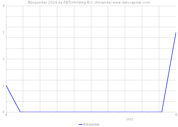 Búsquedas 2024 de P&TJ Holding B.V. (Holanda) 