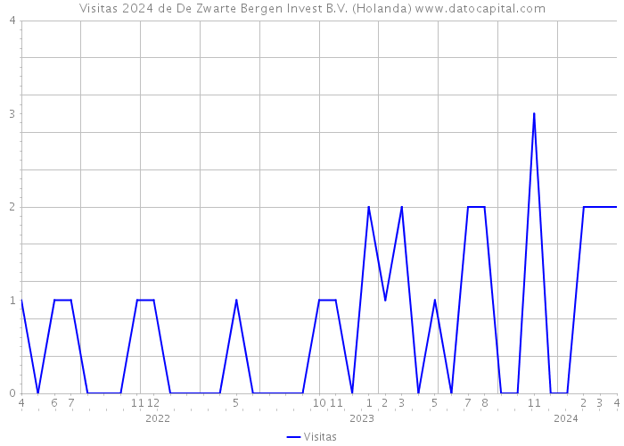 Visitas 2024 de De Zwarte Bergen Invest B.V. (Holanda) 