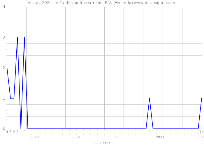 Visitas 2024 de Zuidergat Investments B.V. (Holanda) 