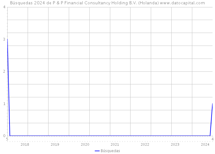 Búsquedas 2024 de P & P Financial Consultancy Holding B.V. (Holanda) 