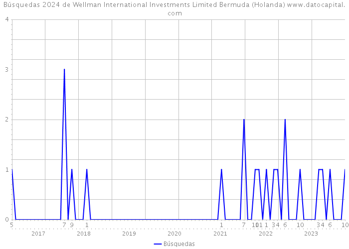 Búsquedas 2024 de Wellman International Investments Limited Bermuda (Holanda) 