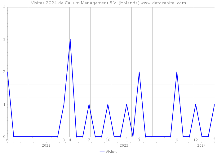 Visitas 2024 de Callum Management B.V. (Holanda) 