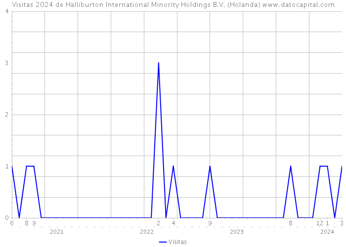 Visitas 2024 de Halliburton International Minority Holdings B.V. (Holanda) 