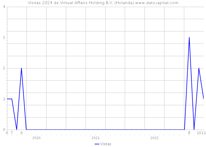 Visitas 2024 de Virtual Affairs Holding B.V. (Holanda) 