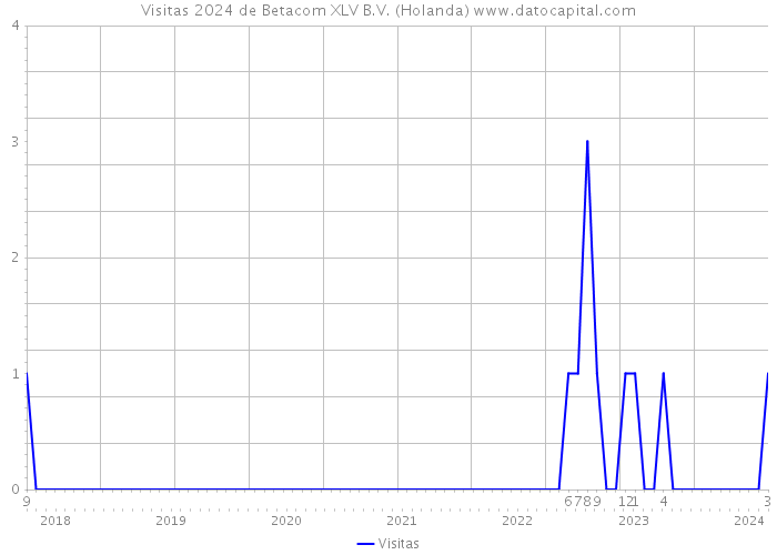 Visitas 2024 de Betacom XLV B.V. (Holanda) 