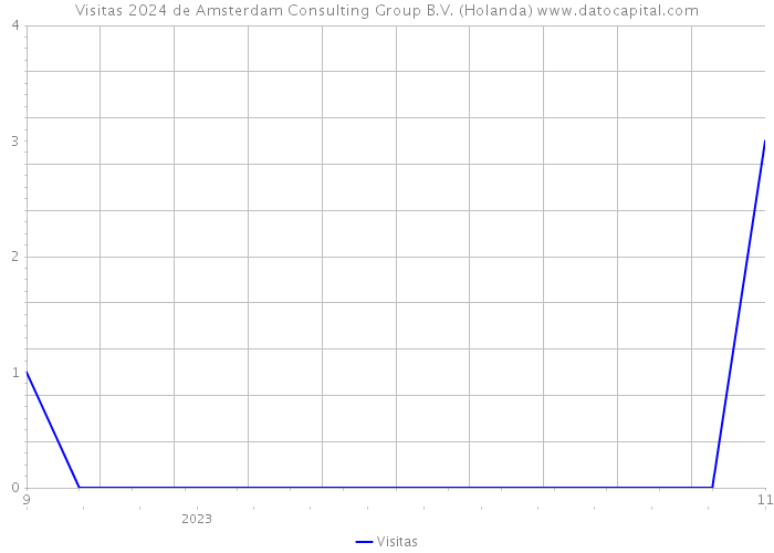 Visitas 2024 de Amsterdam Consulting Group B.V. (Holanda) 