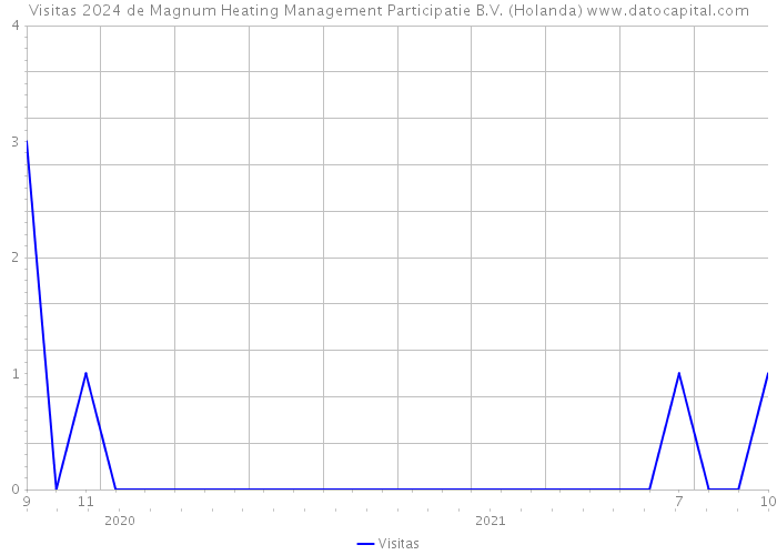 Visitas 2024 de Magnum Heating Management Participatie B.V. (Holanda) 
