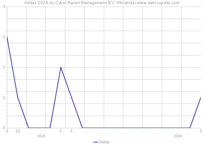 Visitas 2024 de Cyber Raven Management B.V. (Holanda) 