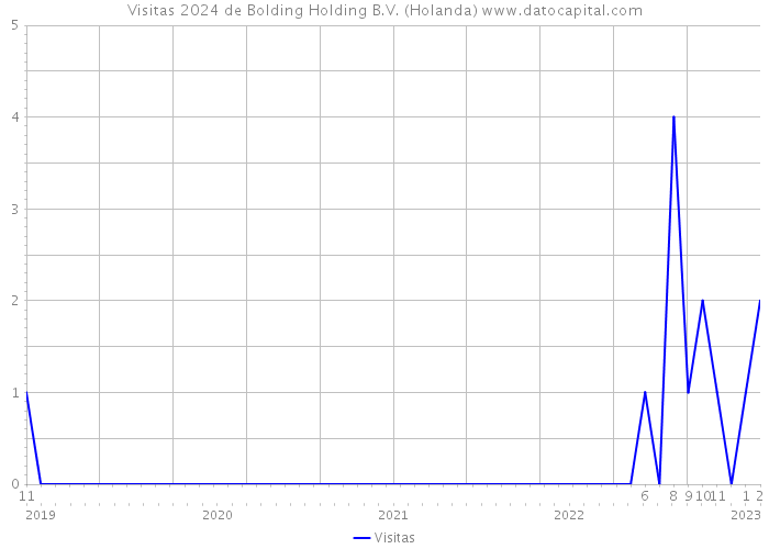 Visitas 2024 de Bolding Holding B.V. (Holanda) 