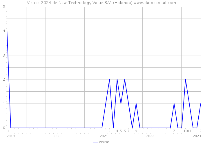 Visitas 2024 de New Technology Value B.V. (Holanda) 