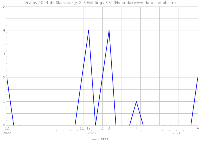 Visitas 2024 de Skaraborgs SLS Holdings B.V. (Holanda) 