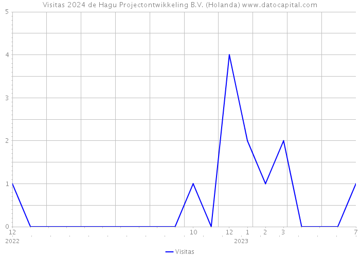 Visitas 2024 de Hagu Projectontwikkeling B.V. (Holanda) 