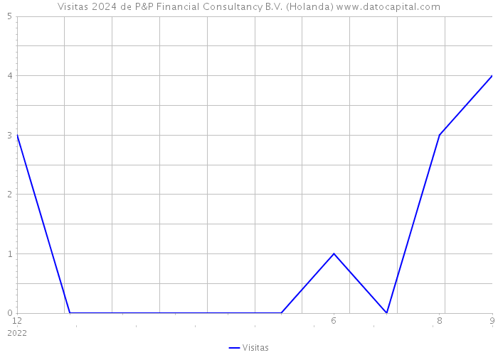 Visitas 2024 de P&P Financial Consultancy B.V. (Holanda) 