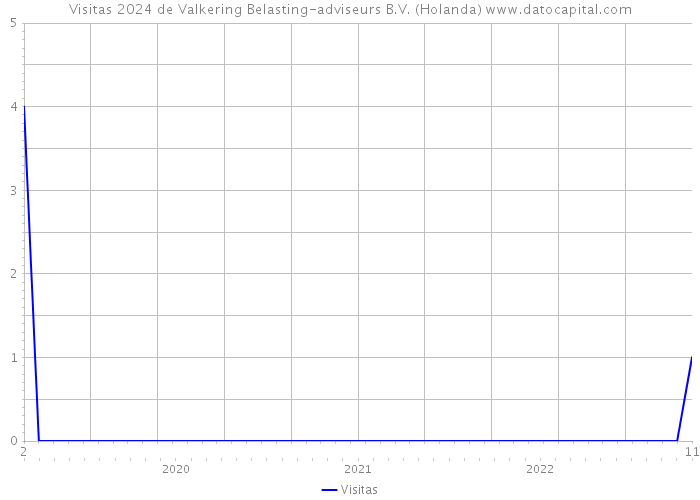 Visitas 2024 de Valkering Belasting-adviseurs B.V. (Holanda) 