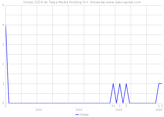 Visitas 2024 de Talpa Media Holding N.V. (Holanda) 