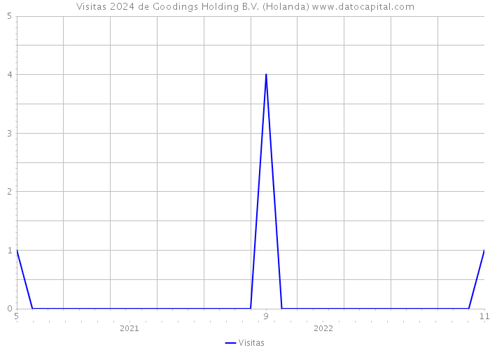 Visitas 2024 de Goodings Holding B.V. (Holanda) 