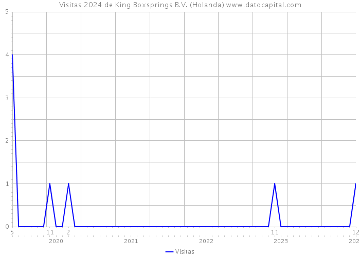 Visitas 2024 de King Boxsprings B.V. (Holanda) 