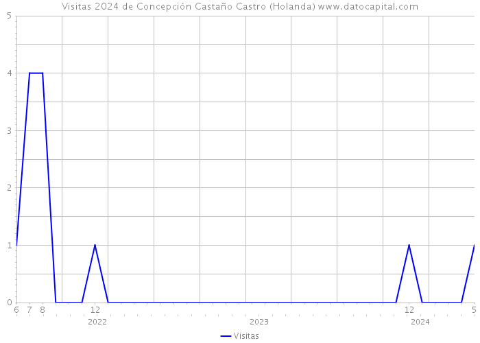 Visitas 2024 de Concepción Castaño Castro (Holanda) 