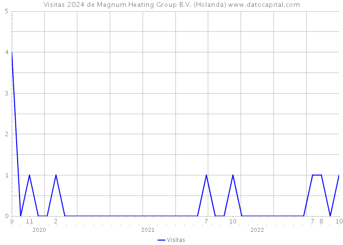 Visitas 2024 de Magnum Heating Group B.V. (Holanda) 