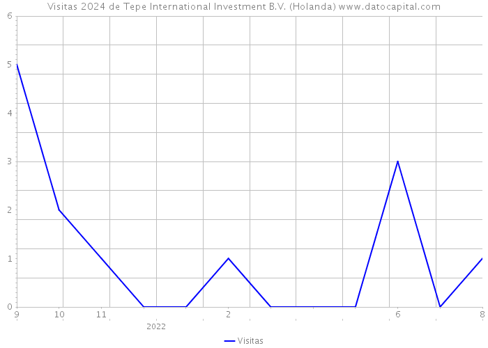 Visitas 2024 de Tepe International Investment B.V. (Holanda) 