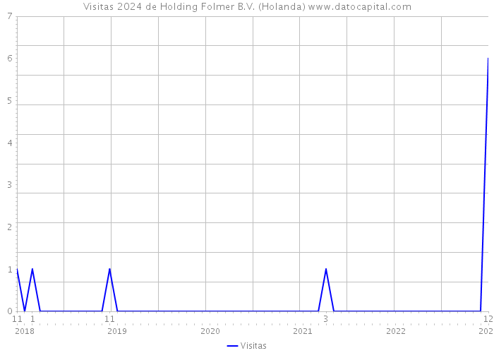 Visitas 2024 de Holding Folmer B.V. (Holanda) 