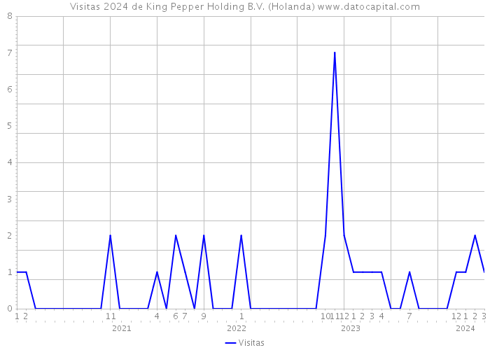 Visitas 2024 de King Pepper Holding B.V. (Holanda) 