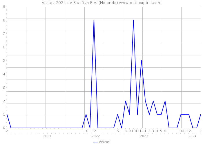 Visitas 2024 de Bluefish B.V. (Holanda) 